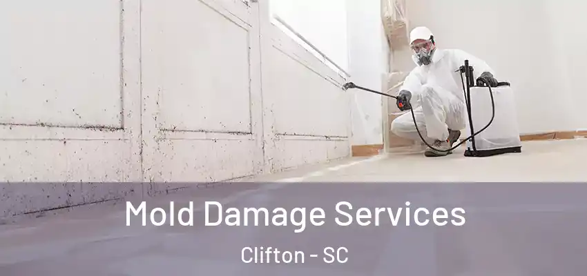 Mold Damage Services Clifton - SC