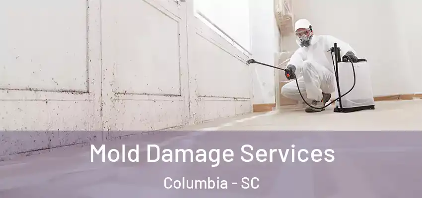  Mold Damage Services Columbia - SC