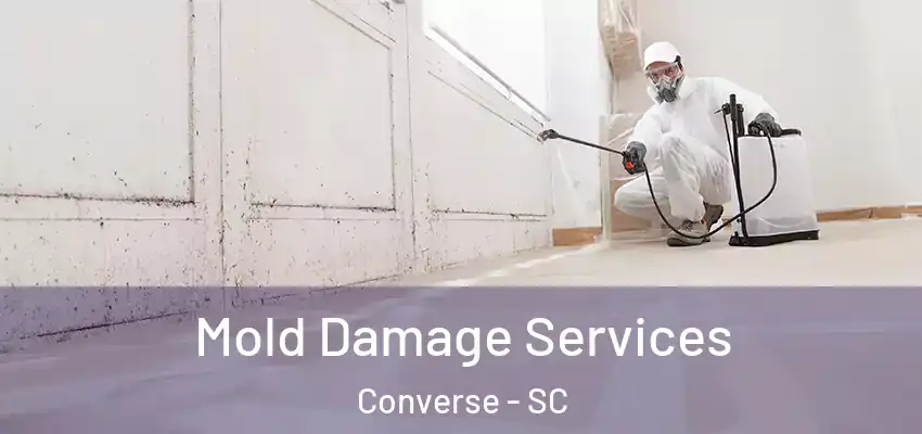 Mold Damage Services Converse - SC