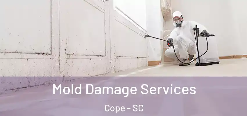Mold Damage Services Cope - SC