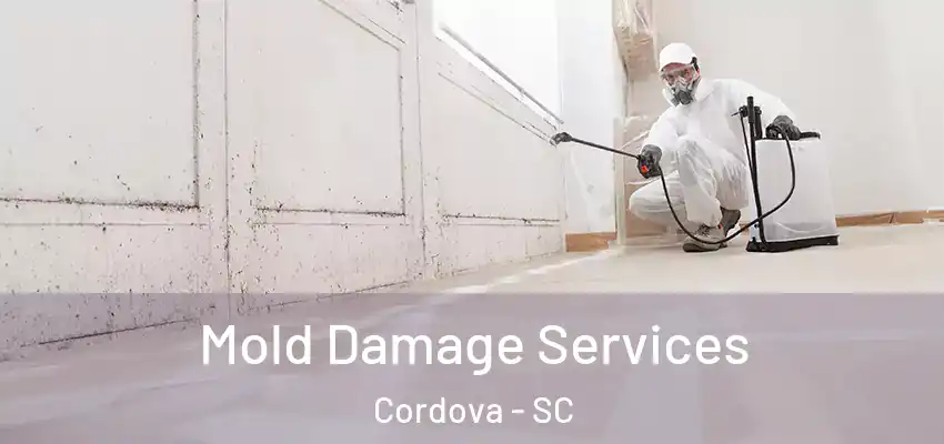  Mold Damage Services Cordova - SC