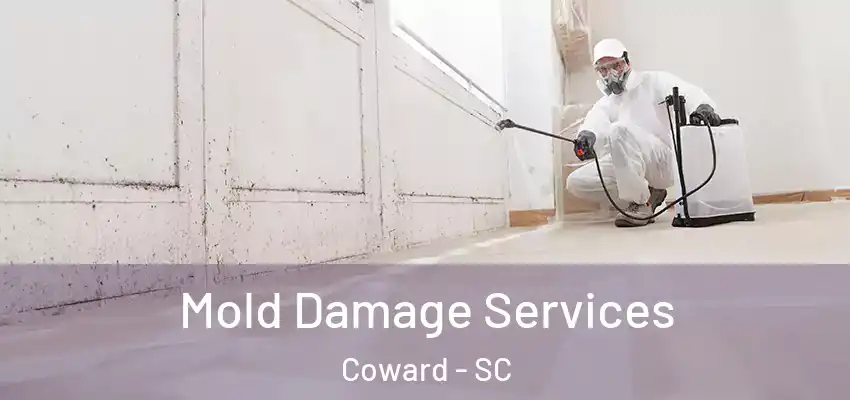  Mold Damage Services Coward - SC