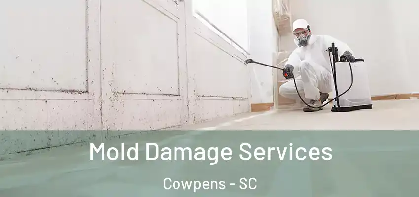  Mold Damage Services Cowpens - SC
