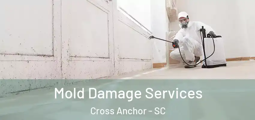  Mold Damage Services Cross Anchor - SC