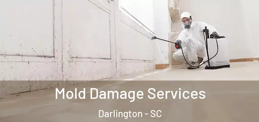 Mold Damage Services Darlington - SC