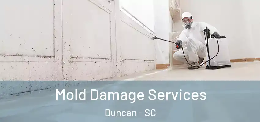  Mold Damage Services Duncan - SC