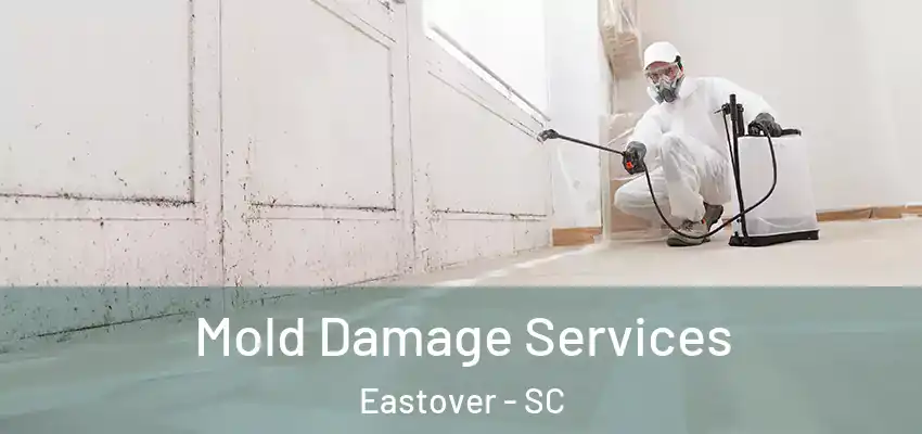 Mold Damage Services Eastover - SC