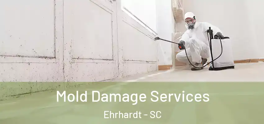  Mold Damage Services Ehrhardt - SC