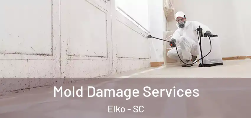 Mold Damage Services Elko - SC