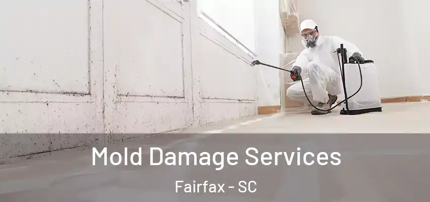 Mold Damage Services Fairfax - SC
