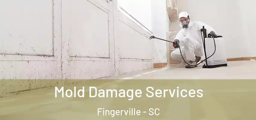  Mold Damage Services Fingerville - SC