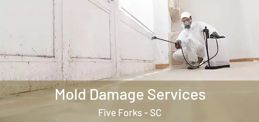  Mold Damage Services Five Forks - SC