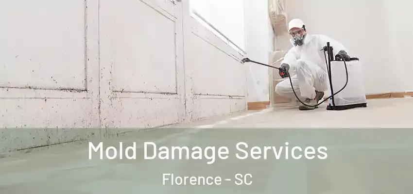 Mold Damage Services Florence - SC