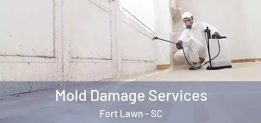  Mold Damage Services Fort Lawn - SC