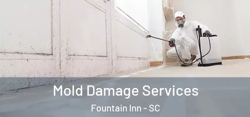 Mold Damage Services Fountain Inn - SC