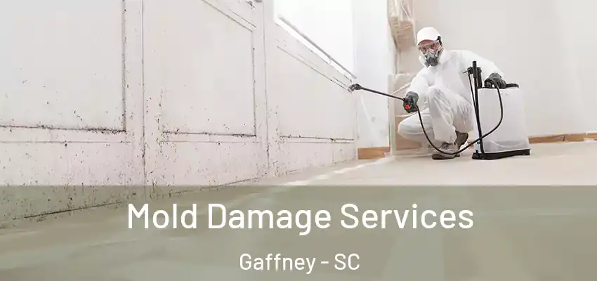  Mold Damage Services Gaffney - SC