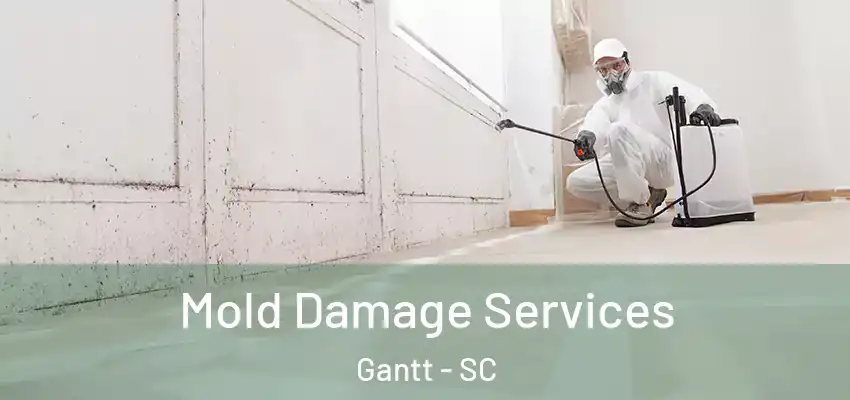  Mold Damage Services Gantt - SC