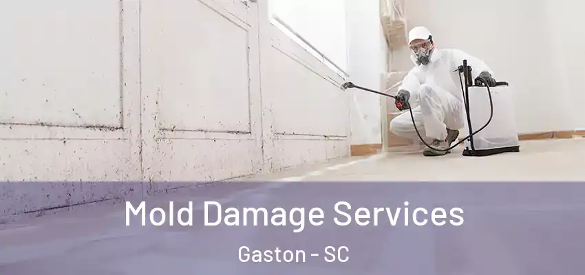  Mold Damage Services Gaston - SC