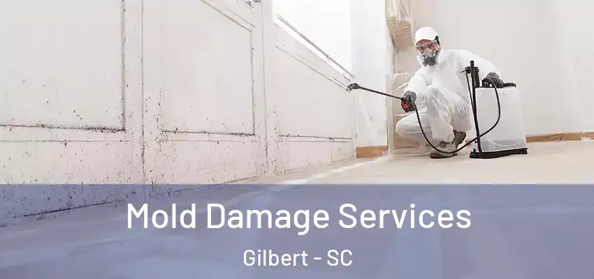  Mold Damage Services Gilbert - SC