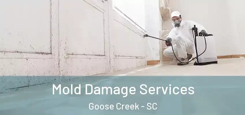  Mold Damage Services Goose Creek - SC