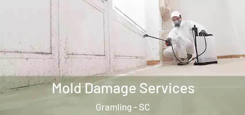  Mold Damage Services Gramling - SC