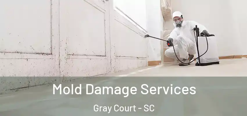  Mold Damage Services Gray Court - SC