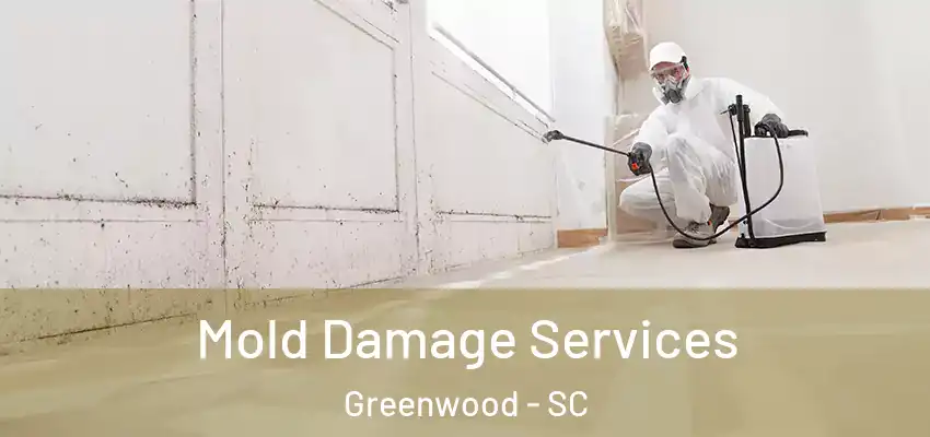  Mold Damage Services Greenwood - SC