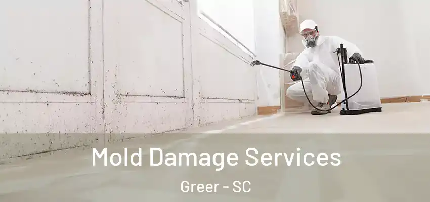 Mold Damage Services Greer - SC