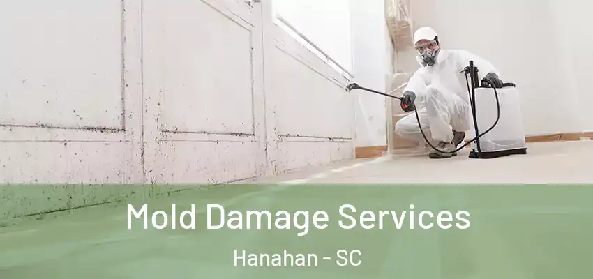 Mold Damage Services Hanahan - SC
