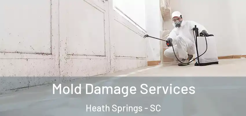  Mold Damage Services Heath Springs - SC