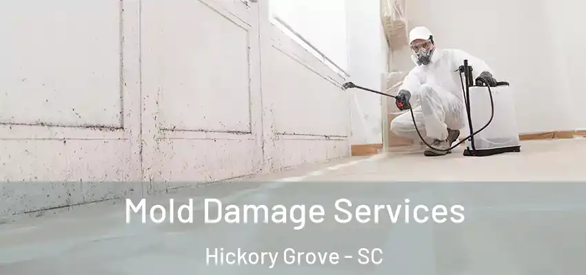  Mold Damage Services Hickory Grove - SC