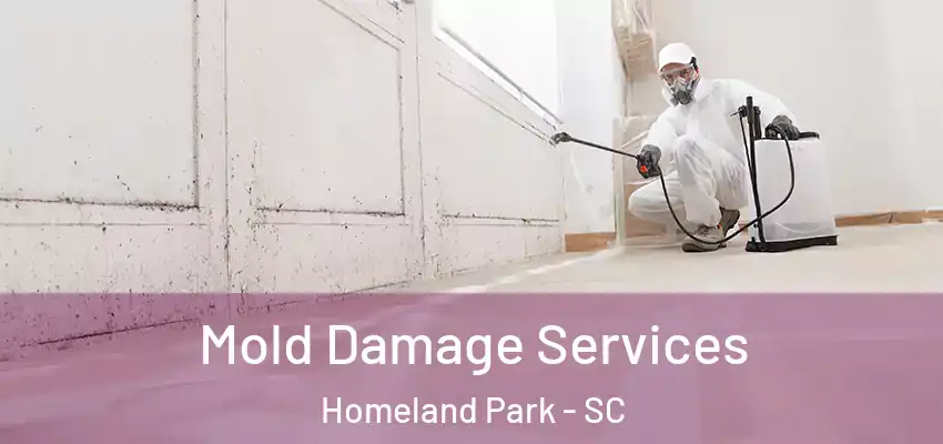 Mold Damage Services Homeland Park - SC
