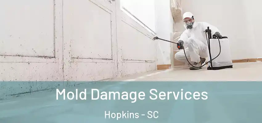  Mold Damage Services Hopkins - SC