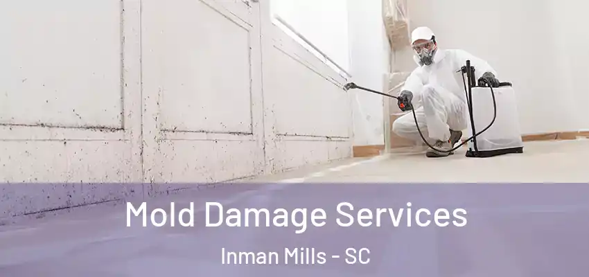 Mold Damage Services Inman Mills - SC