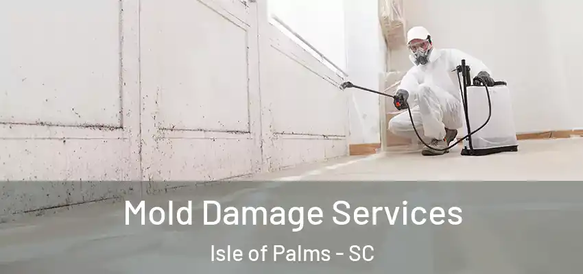 Mold Damage Services Isle of Palms - SC