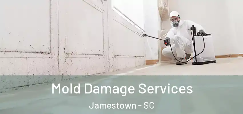  Mold Damage Services Jamestown - SC