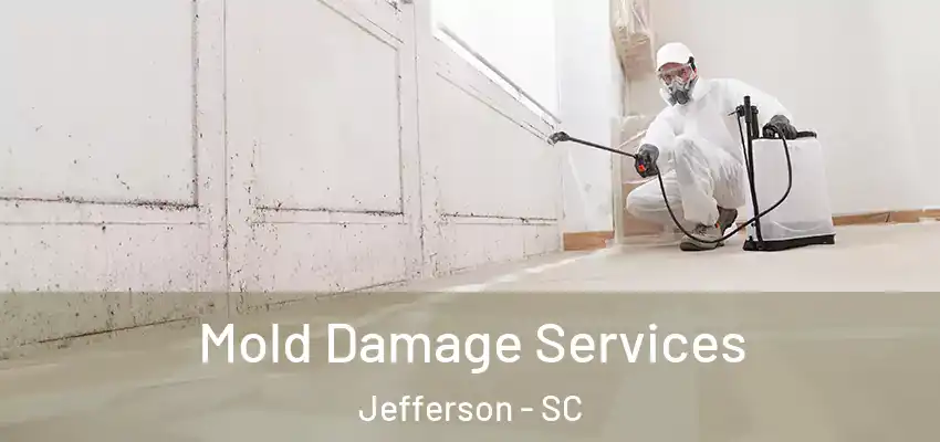  Mold Damage Services Jefferson - SC