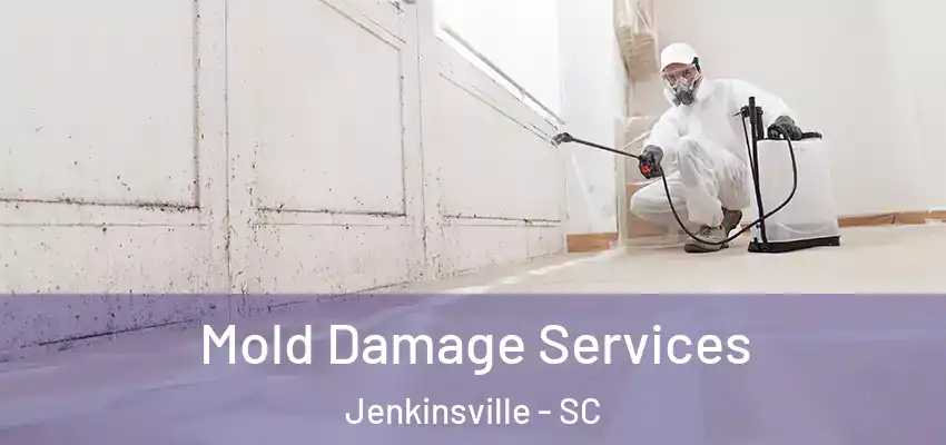  Mold Damage Services Jenkinsville - SC