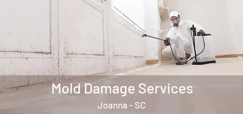 Mold Damage Services Joanna - SC