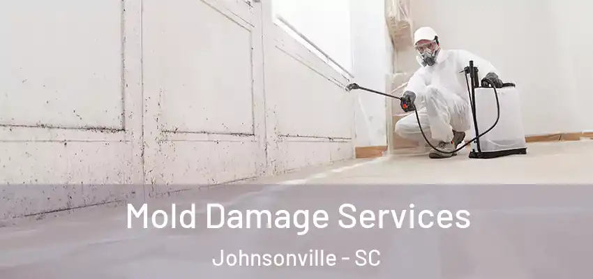 Mold Damage Services Johnsonville - SC