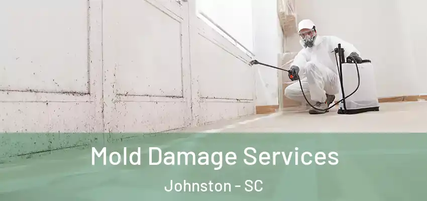 Mold Damage Services Johnston - SC