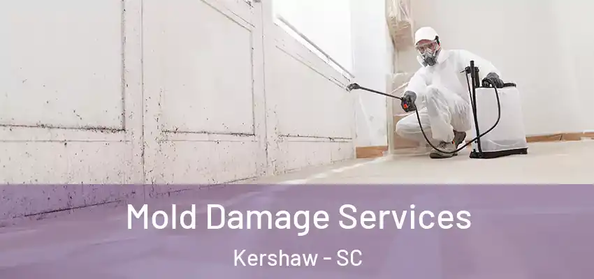 Mold Damage Services Kershaw - SC