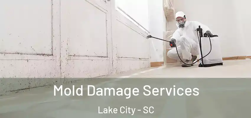  Mold Damage Services Lake City - SC