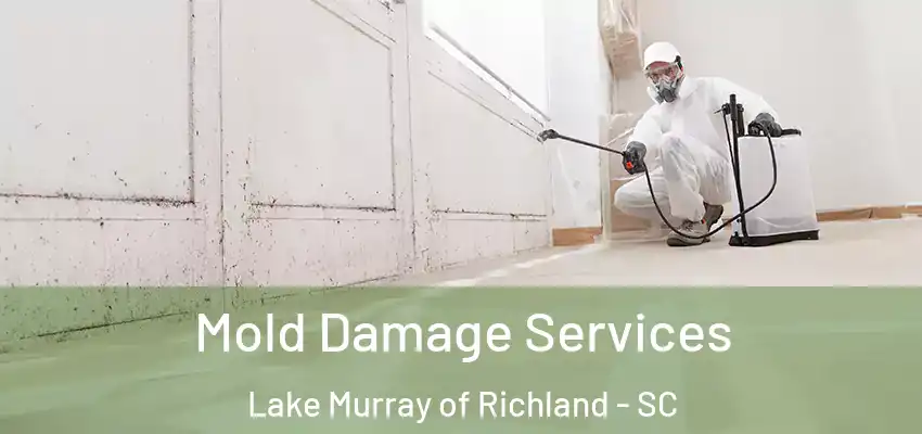 Mold Damage Services Lake Murray of Richland - SC