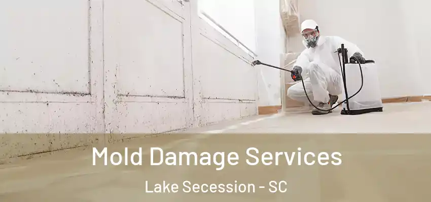  Mold Damage Services Lake Secession - SC