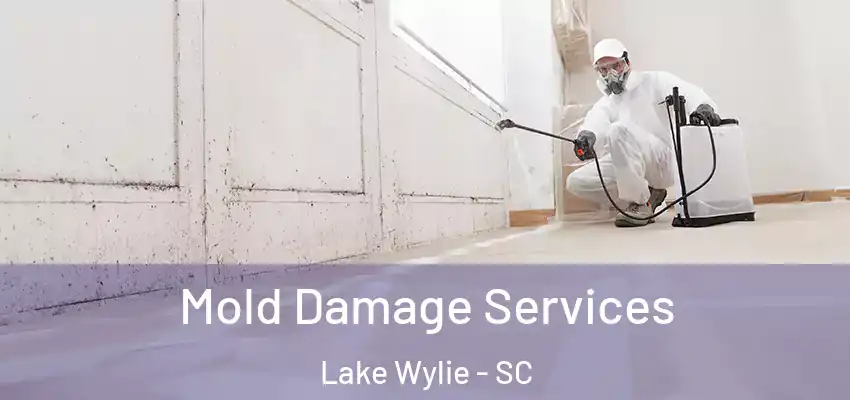  Mold Damage Services Lake Wylie - SC