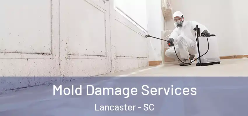 Mold Damage Services Lancaster - SC