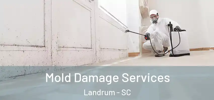  Mold Damage Services Landrum - SC