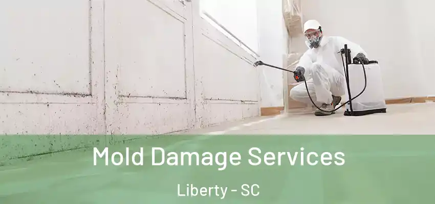 Mold Damage Services Liberty - SC