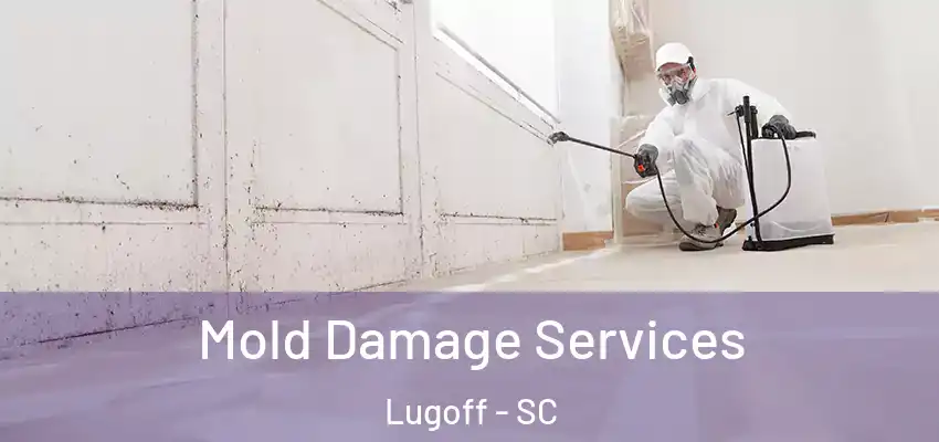  Mold Damage Services Lugoff - SC